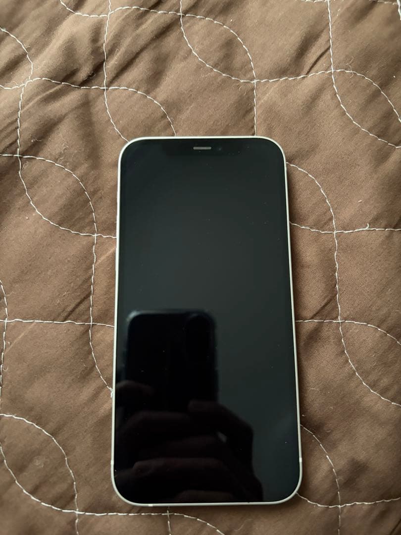 iPhone 12 256GB SIMフリー