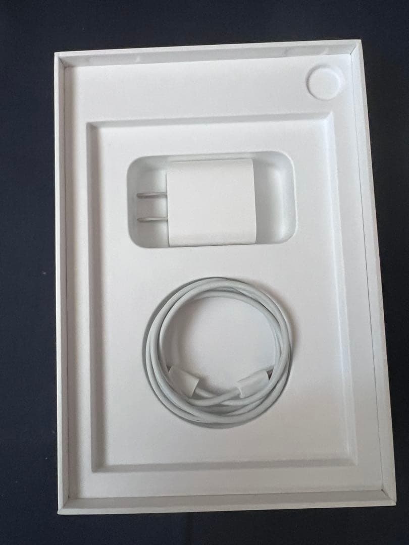 Apple iPad mini スペースグレイ 本体