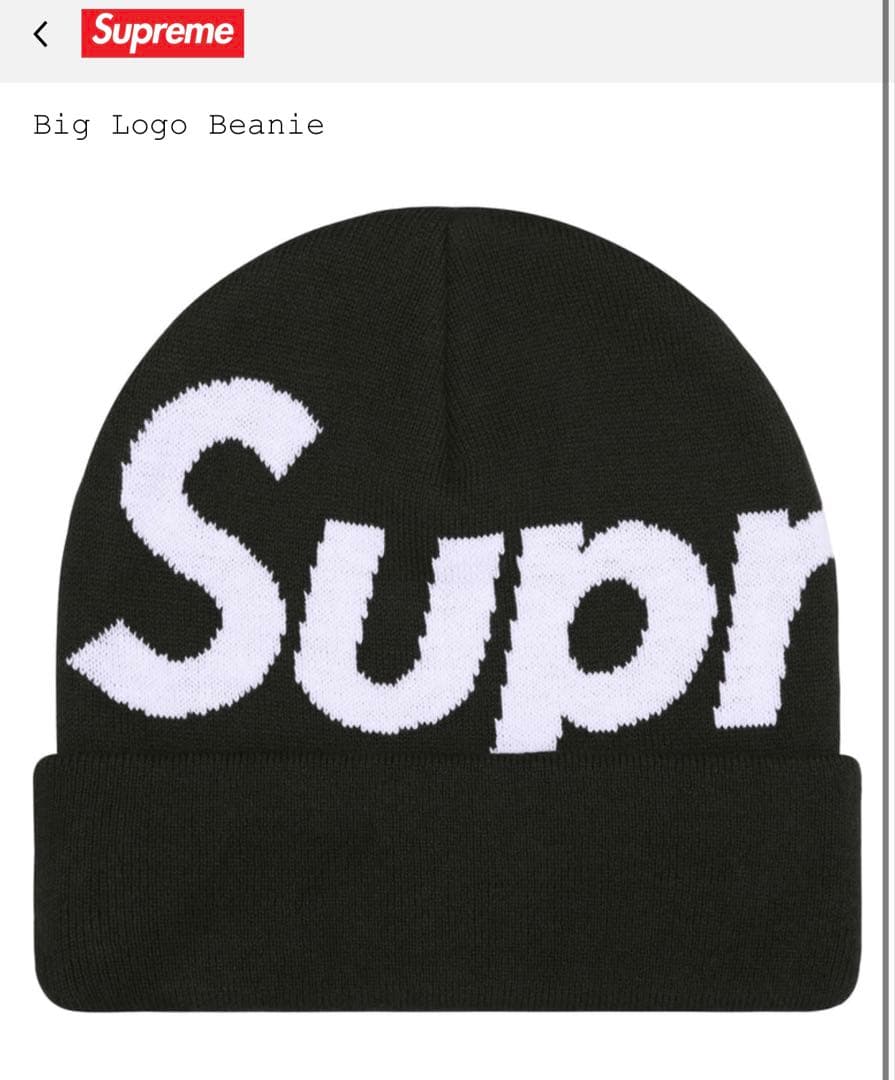 新品未使用Supreme Bigrogo biniy