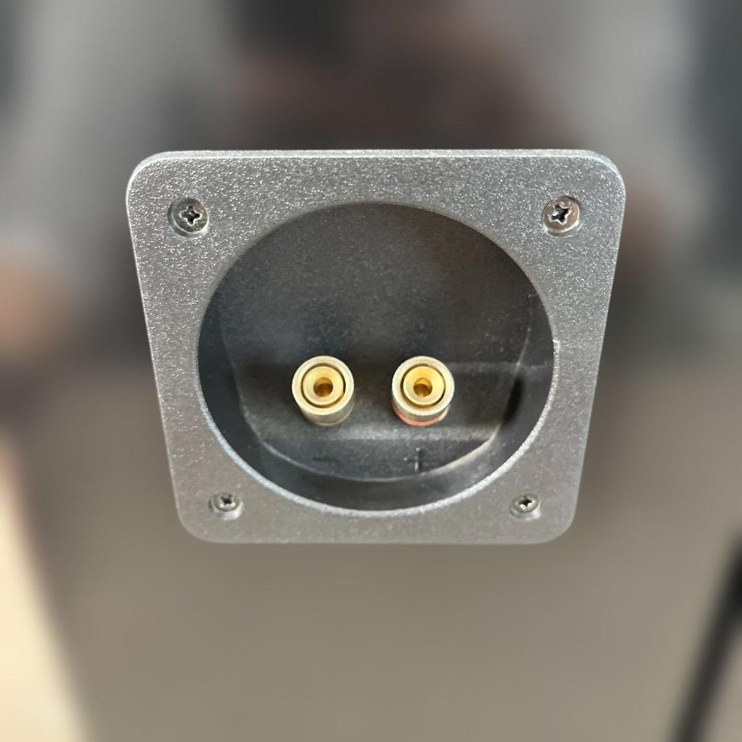 自作スピーカー　PARC Audio ウッドコスピーカー