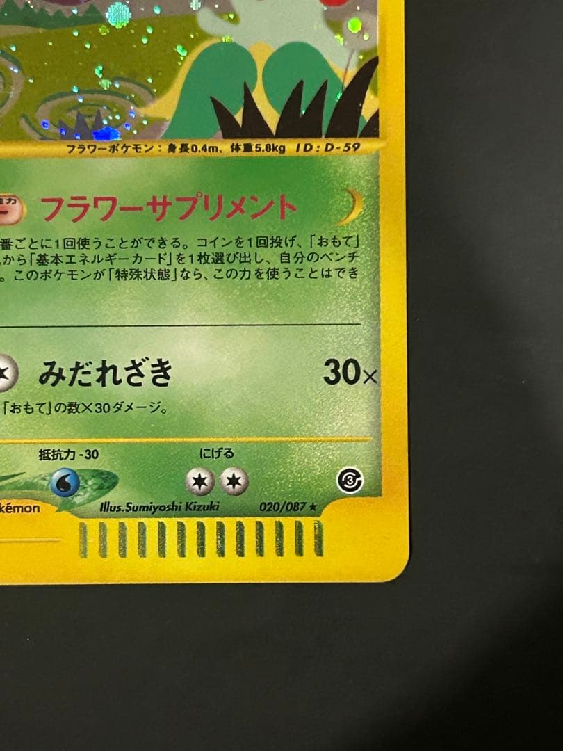 キレイハナ　カードe アンリミ キラ eカード ポケカ 海からの風