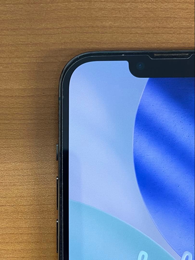 動作確認済み iPhone 13 Pro ID T5621
