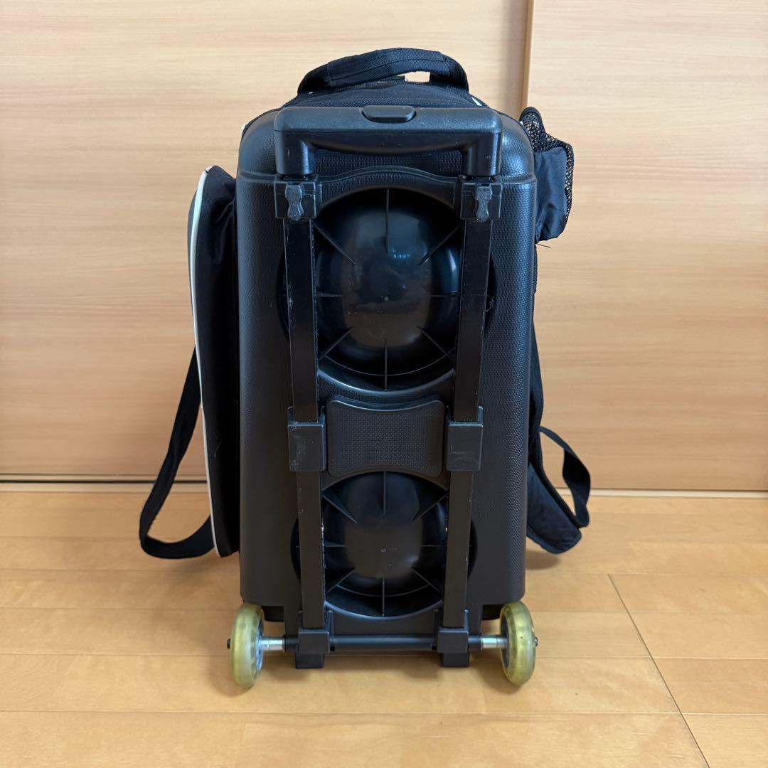 STORM ストーム ボウリング 2ボール キャリーバッグ 収納