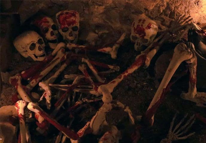 【限定品】ヒルビリー ホロコースト オリジナル完全版 Blu-ray　ホラー