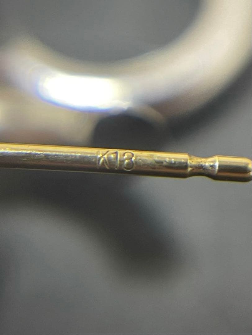 キャリアリング　ピアス