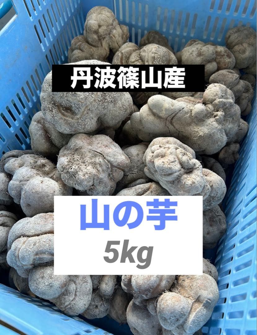 【専用】大納言小豆1.5kg 山の芋5kg