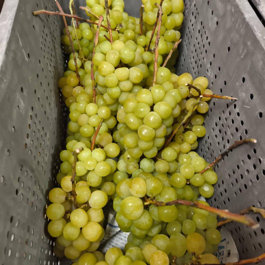 ご購入相談窓口