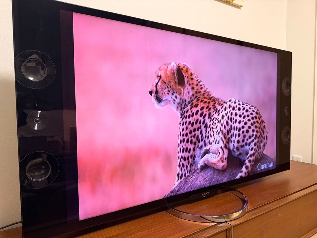 SONY BRAVIA ソニーブラビア4K対応　55型KD-55X9200A