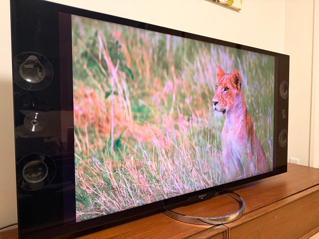 SONY BRAVIA ソニーブラビア4K対応　55型KD-55X9200A