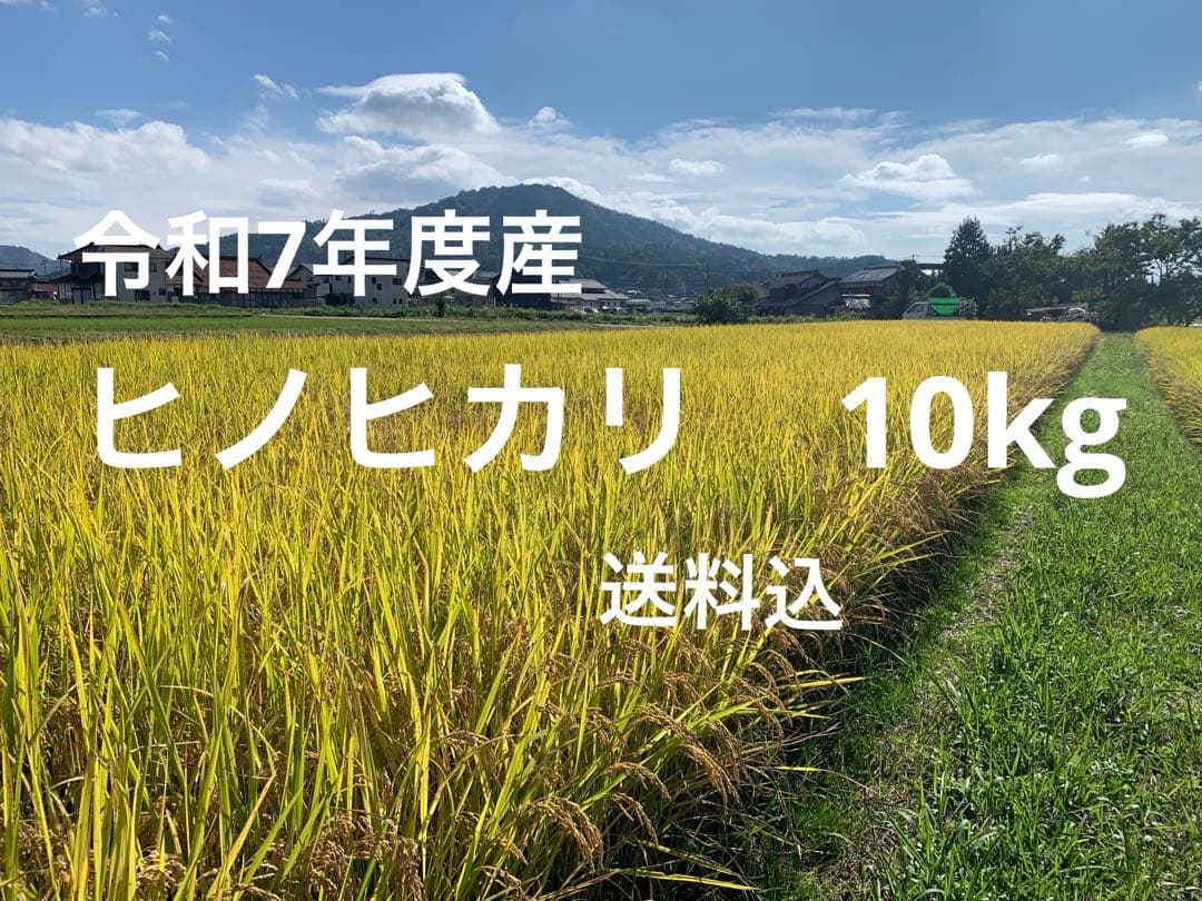 令和7年度産ヒノヒカリ10kg玄米(送料込)農家のお米