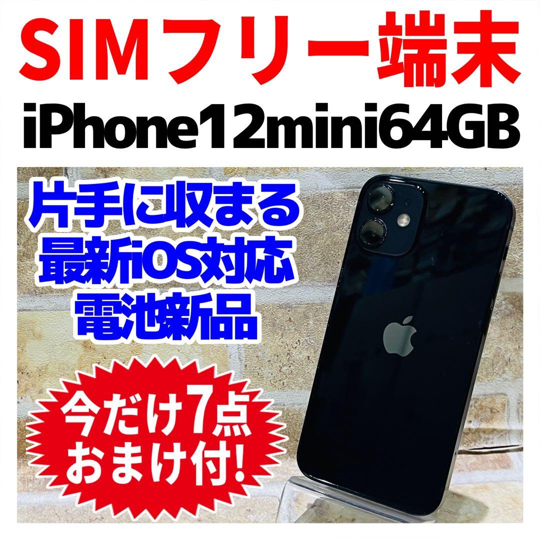 訳あり SIMフリー iPhone12mini 64GB ブラック 新品電池