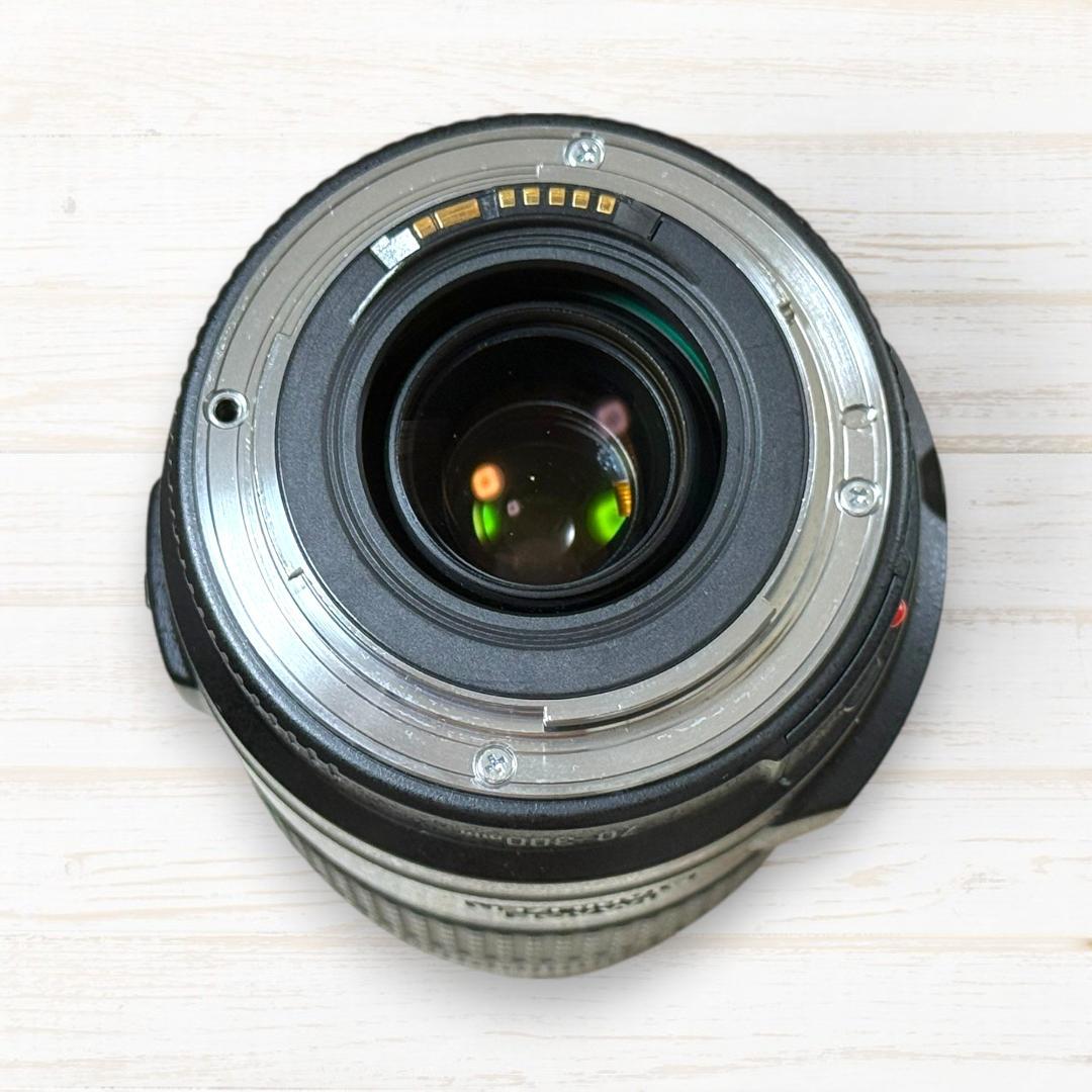 Canon ズームレンズ EF 70-300mm IS USM #118