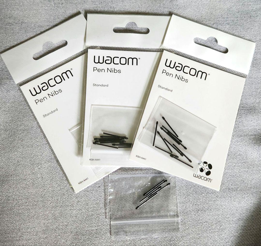 【いぶき】wacom Cintiq22