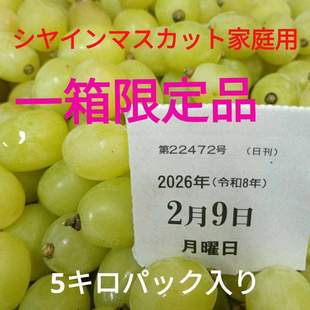 限定特売品シャインマスカット家庭用訳あり徳用5キロ入りの粒バック入りになります。