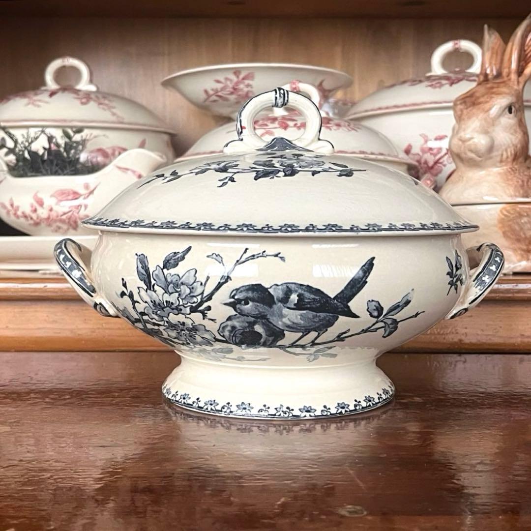 希少＊美品＊仏アンティーク サルグミンヌ favoriレギュミエ・スーピエール