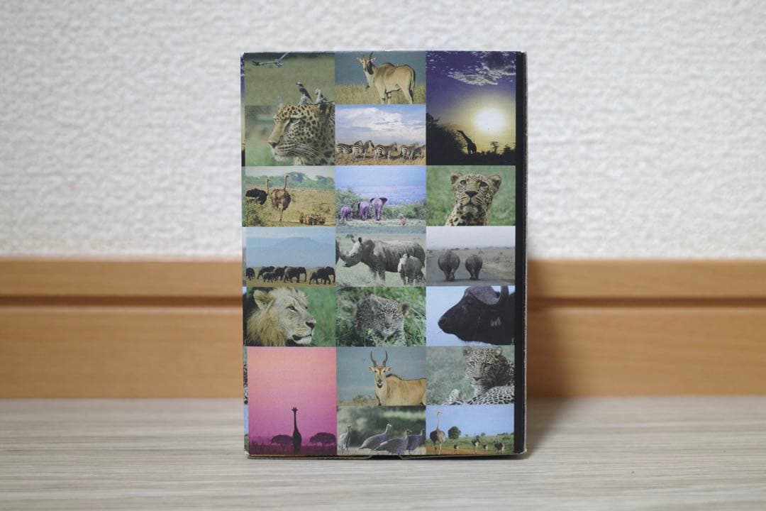 G-SHOCK Gショック ジーショック MUDMASTER マッドマスター