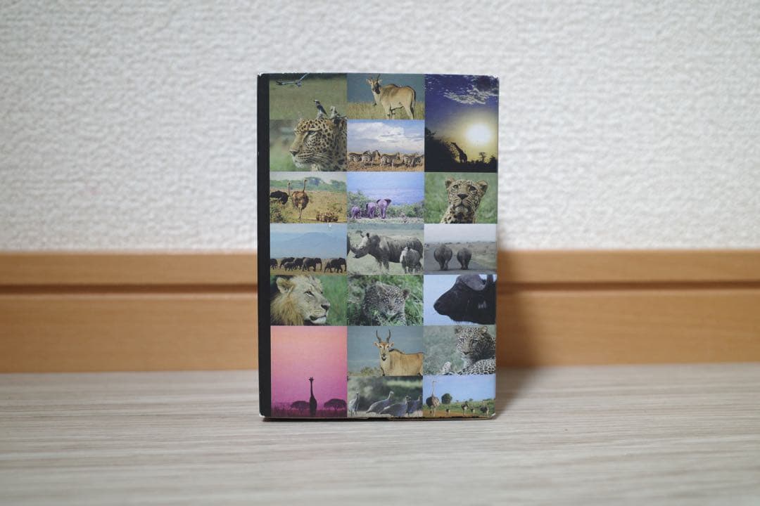 G-SHOCK Gショック ジーショック MUDMASTER マッドマスター