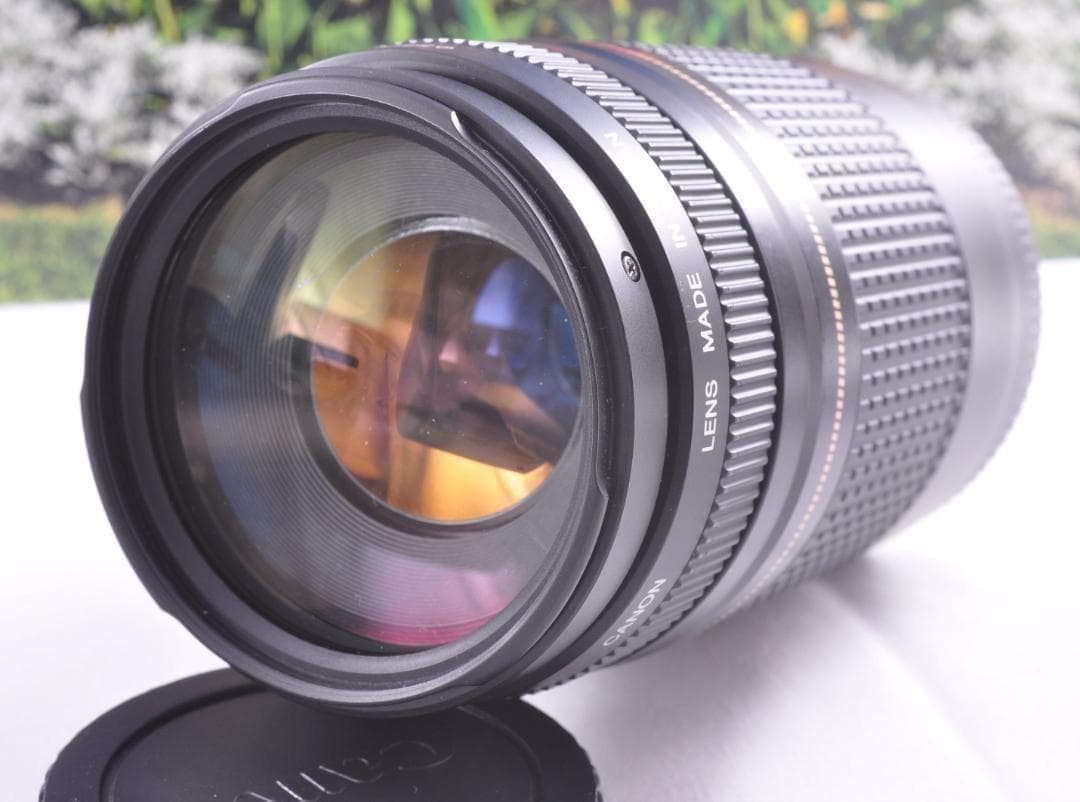 望遠はここから！ Canon キヤノン 望遠レンズ EF75-300mm