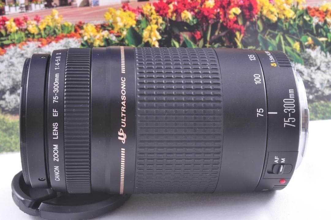 望遠はここから！ Canon キヤノン 望遠レンズ EF75-300mm