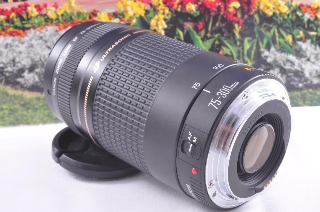 望遠はここから！ Canon キヤノン 望遠レンズ EF75-300mm
