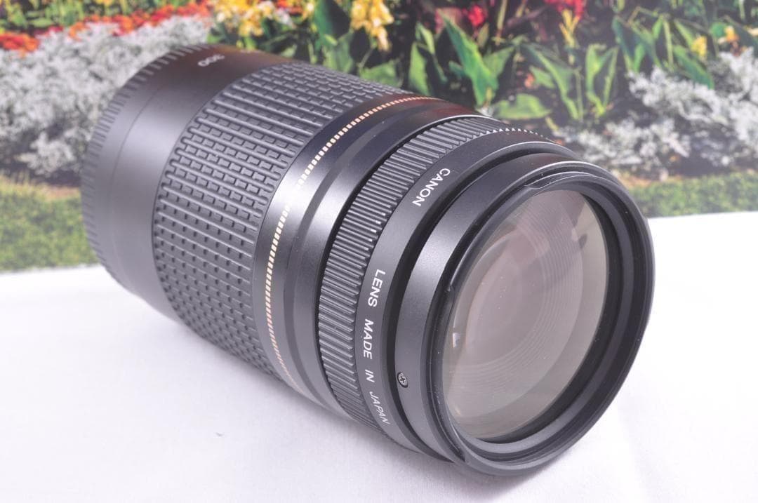 望遠はここから！ Canon キヤノン 望遠レンズ EF75-300mm