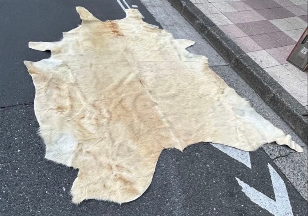 邦*様 ヤングカーフ　ラグ　カーペット　カウラグ　クリーム色　特大　bormes