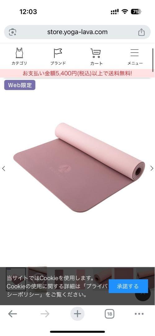 これだけで始められます！LAVA6点セット