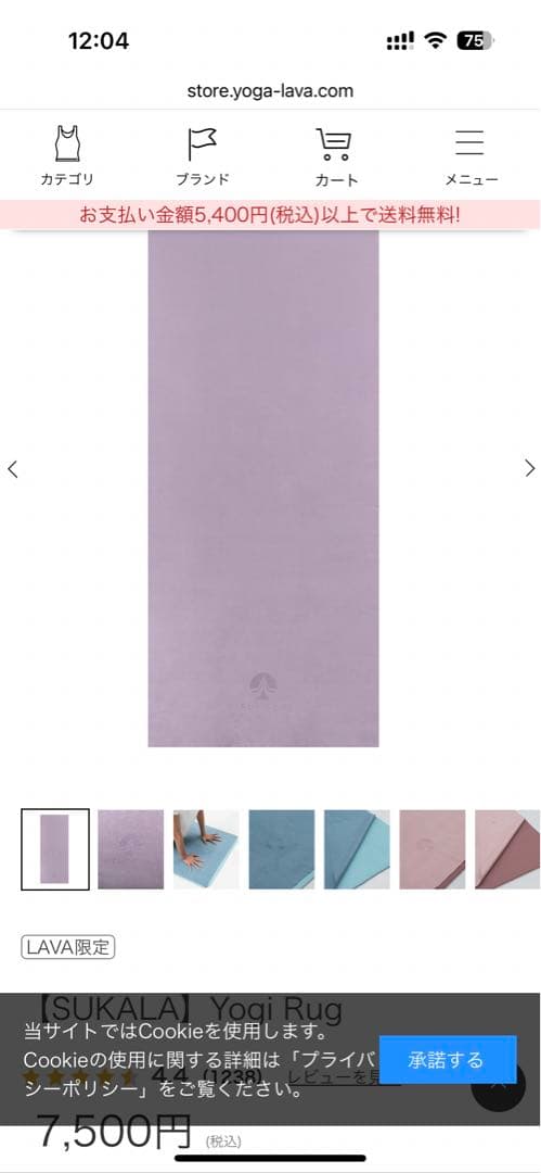 これだけで始められます！LAVA6点セット