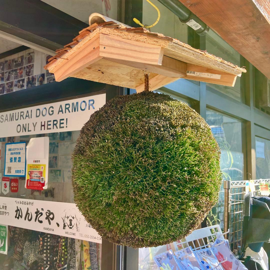 杉玉【屋根付き】①