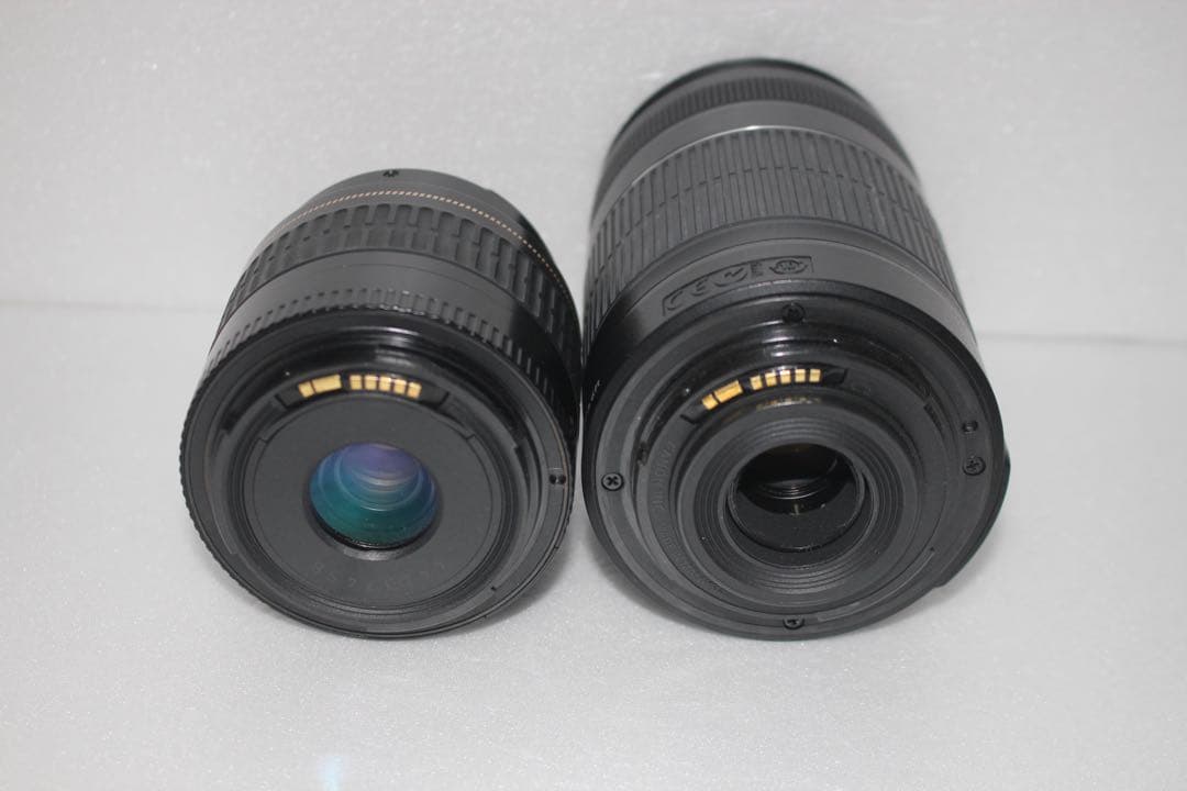 手ぶれ補正付き/Canon EOS 90D標準&望遠ダブルレンズセット