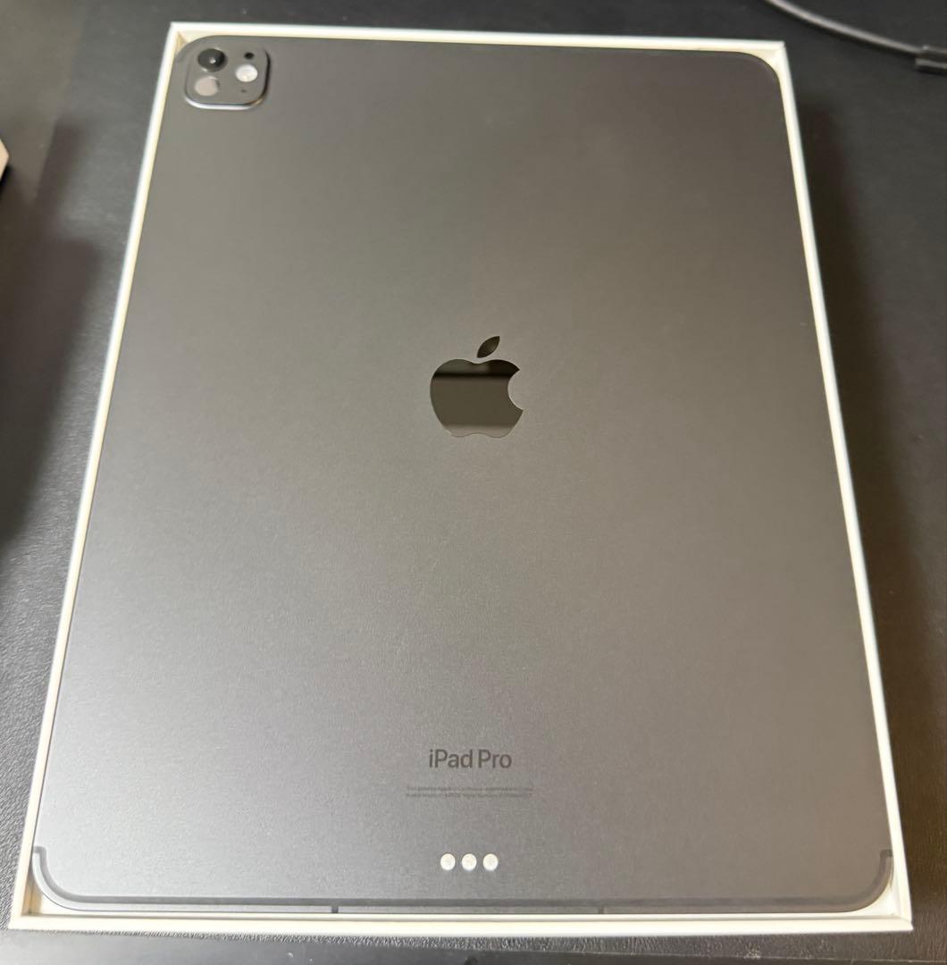 iPad Pro 13インチ (M4) Wi-Fi + Cellular