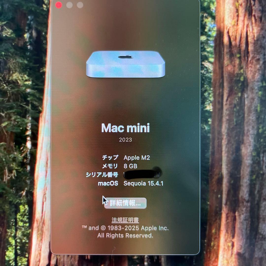 『美品』Apple Mac mini 2023 M2 8GB