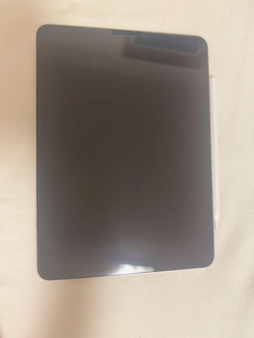 Apple iPad Air 5th シルバー 本体