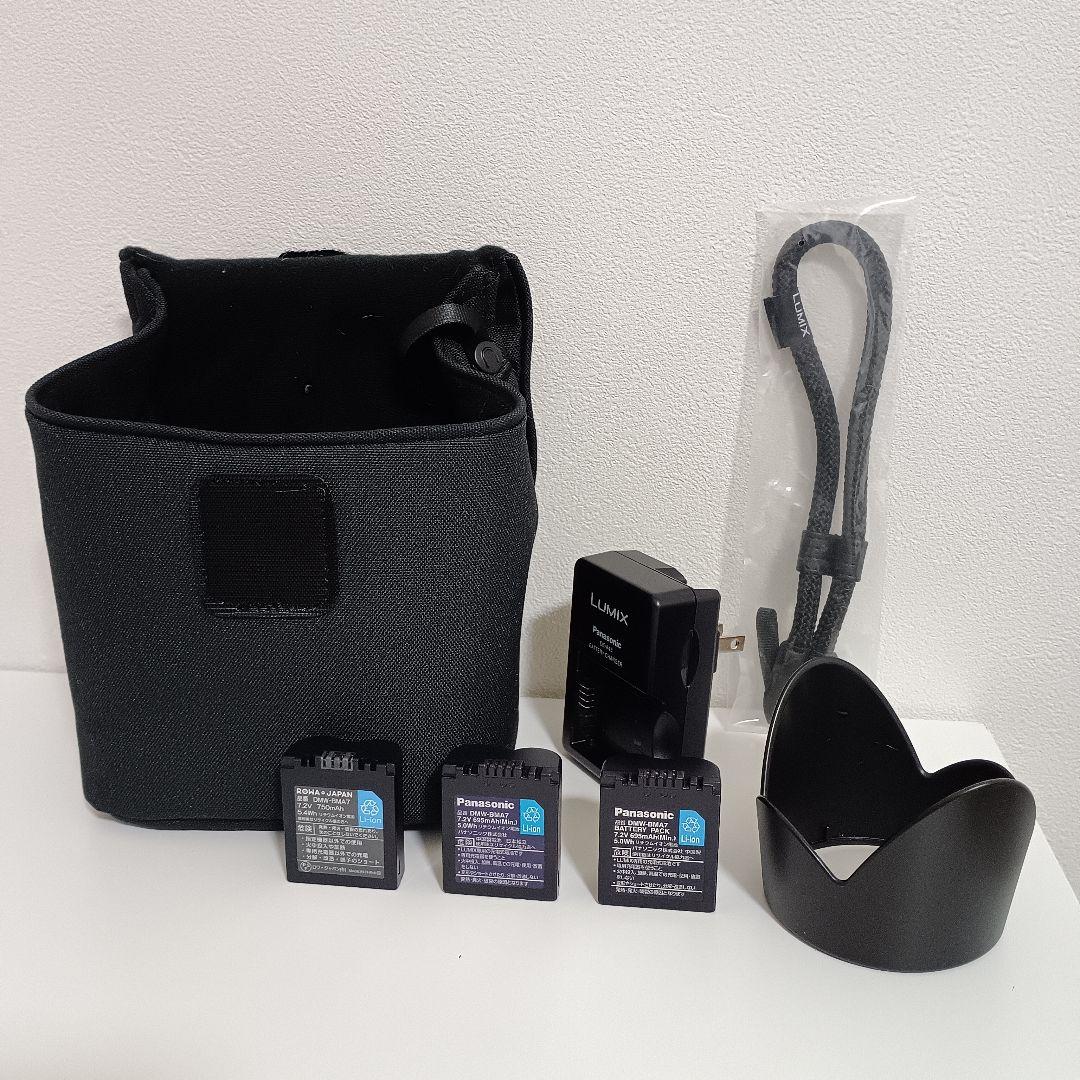 【美品】Lumix FZ38 デジタルカメラ Panasonic セット