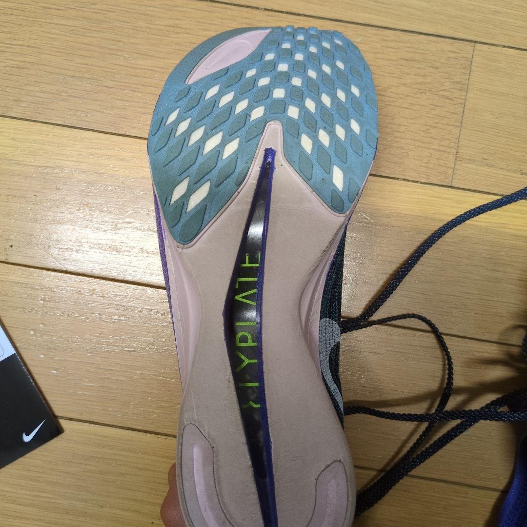 Nike ストリークフライ 2 25cm