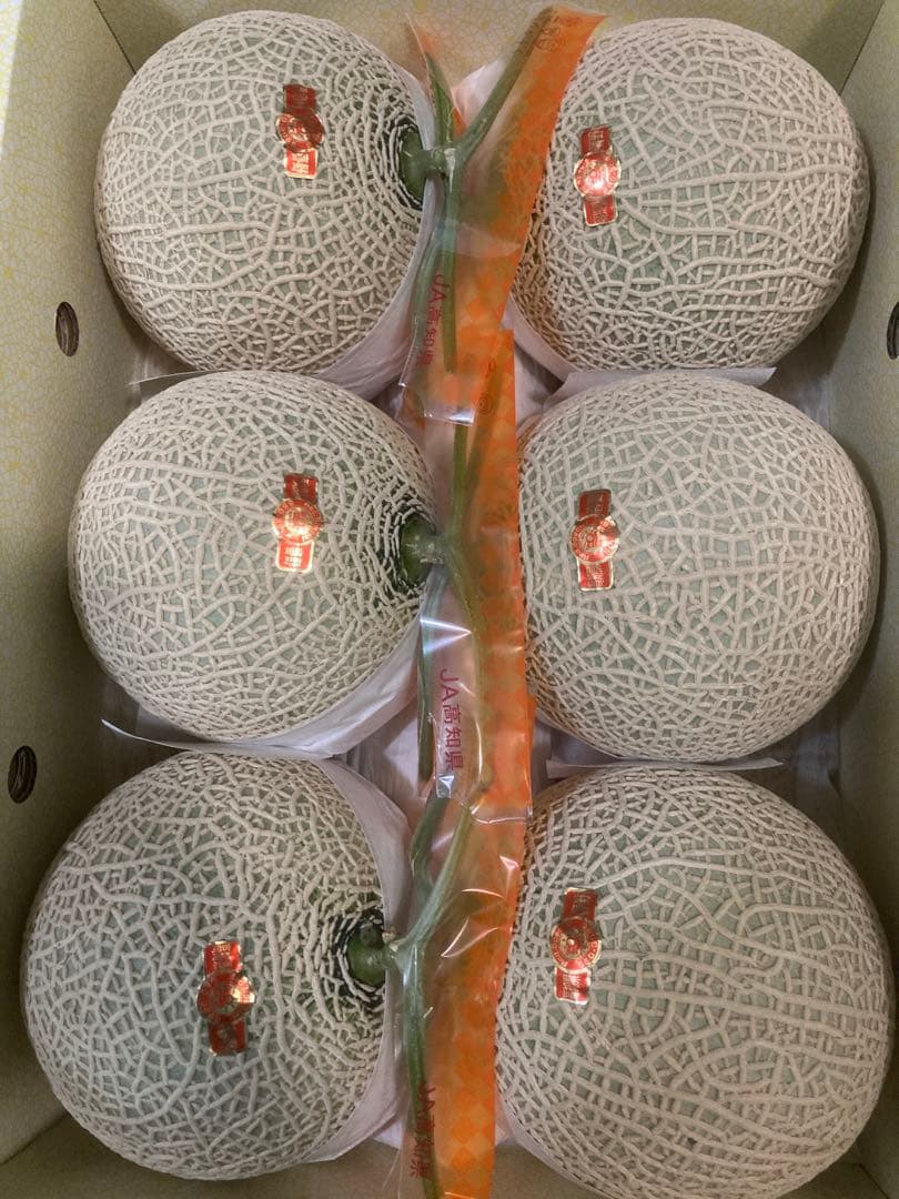 高知県産　赤肉メロン6玉入