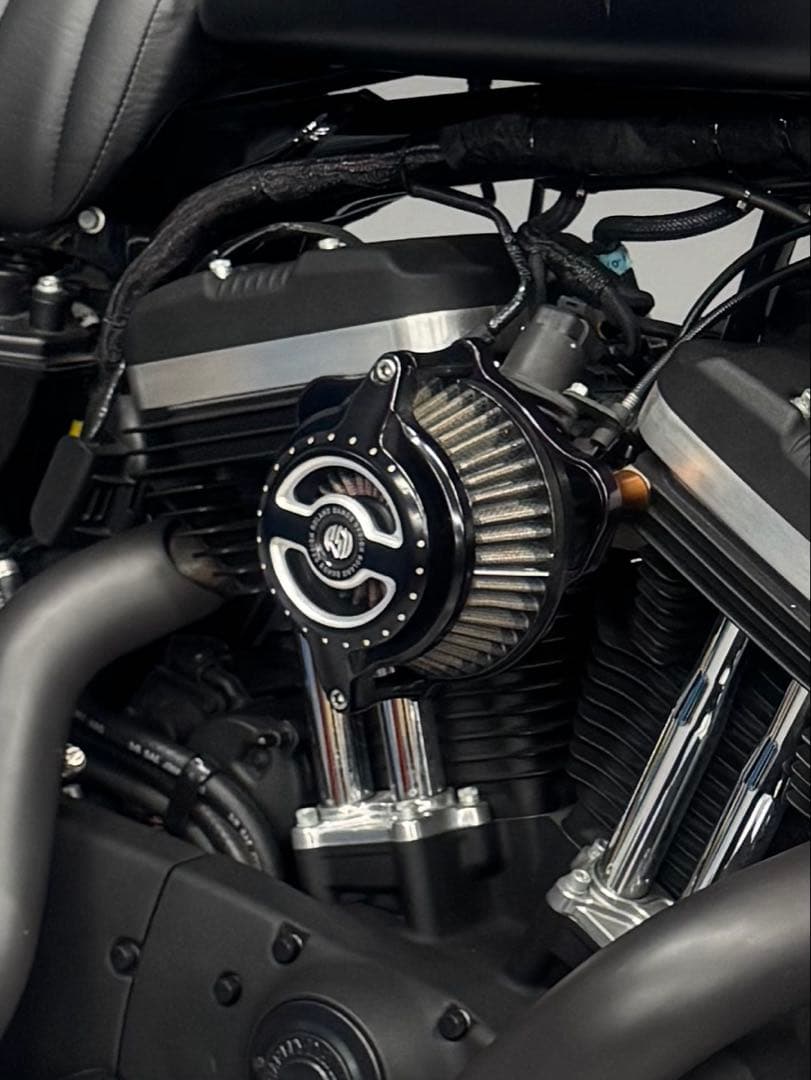 ローランドサンズ エアクリーナー XL883N ハーレー