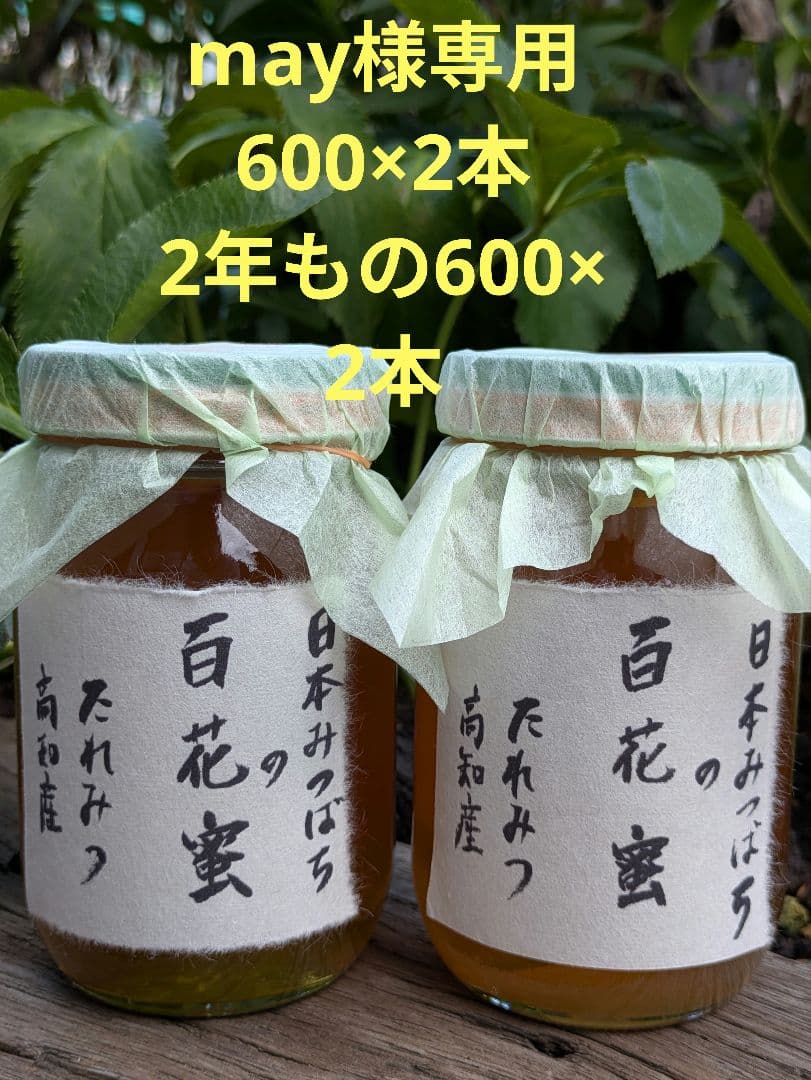 日本ミツバチ 蜂蜜 令和7年 採れたて 600g×4本 たれ蜜 非加熱　百花蜜