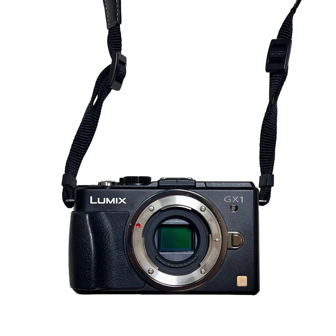 Panasonic LUMIX GX1 ボディ ストラップ 充電器 バッテリー