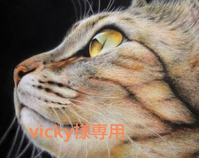 vicky　ロイヤルカナン　デンタルケア400g 8袋おまとめ