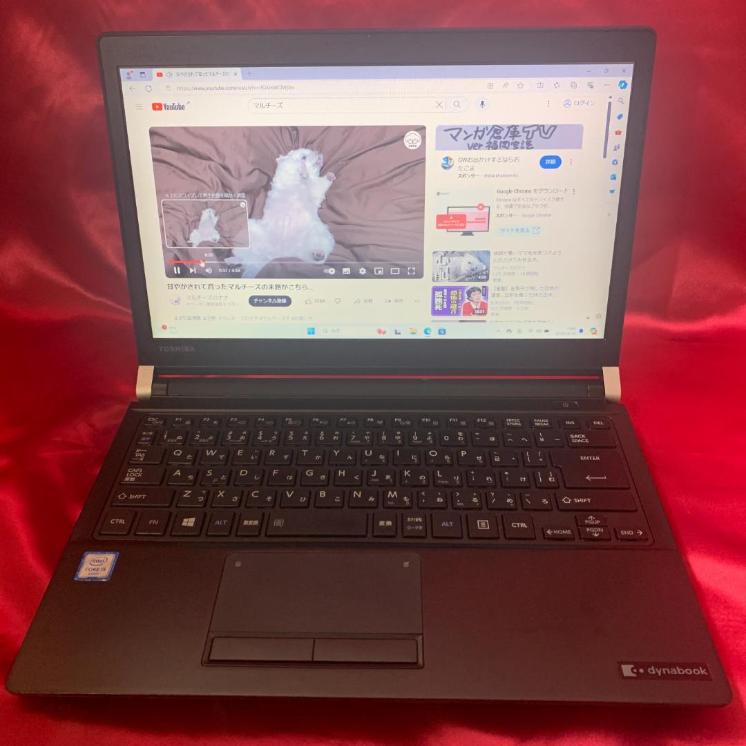 美品Windows11搭載✨SSD 256G✨東芝dynabook✨Corei3