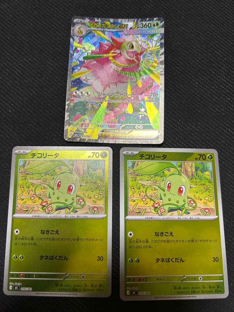 メガメガニウムex チコリータ ミラー3枚セット