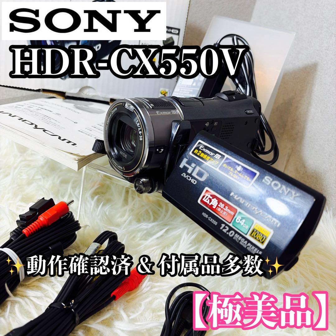 【極美品】SONY HDR-CX550V ビデオカメラ 付属品多数