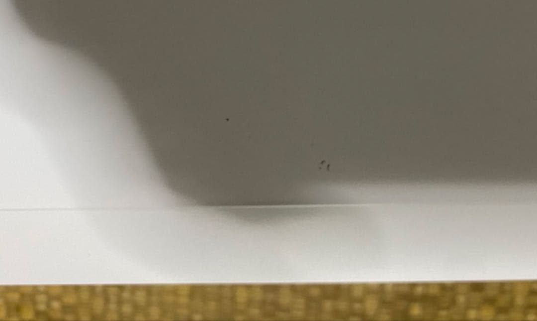 T28 TWINBIRD 2024年製 フラット電子レンジ ハイパワー