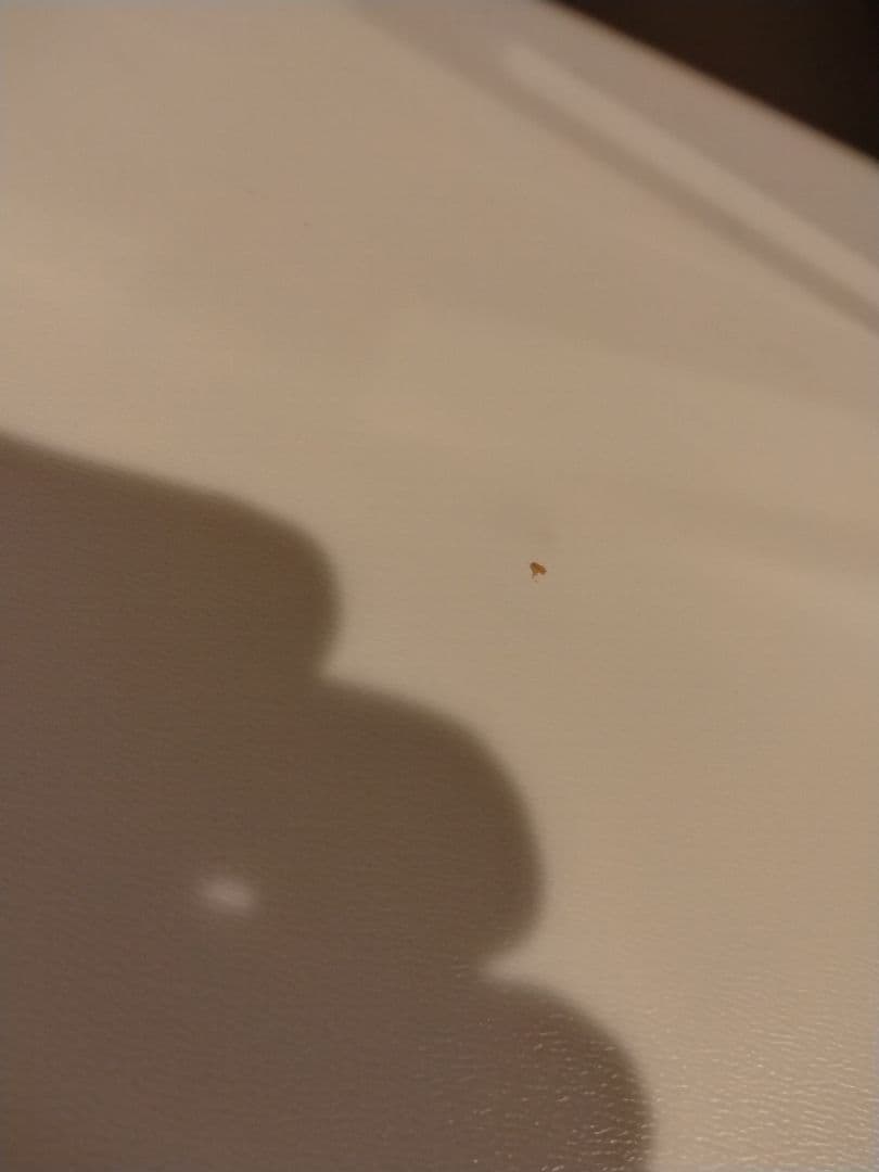 引取歓迎♪ニトリ・キッチンカウンター・食器棚、木製レンジボード　ホワイト　白色