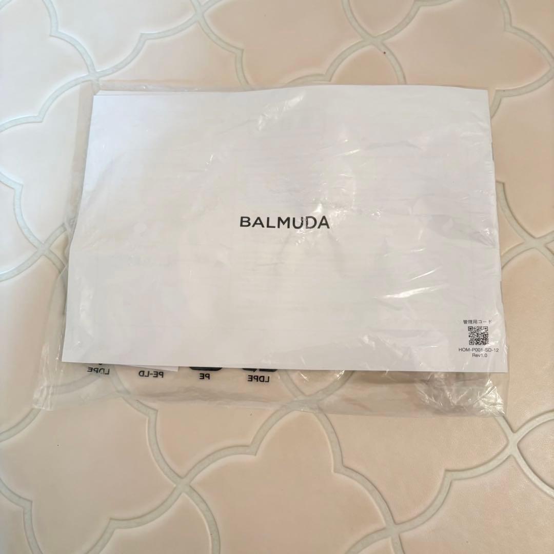 【極美品】バルミューダ Rain 加湿器 ERN-1100SD 2022年製