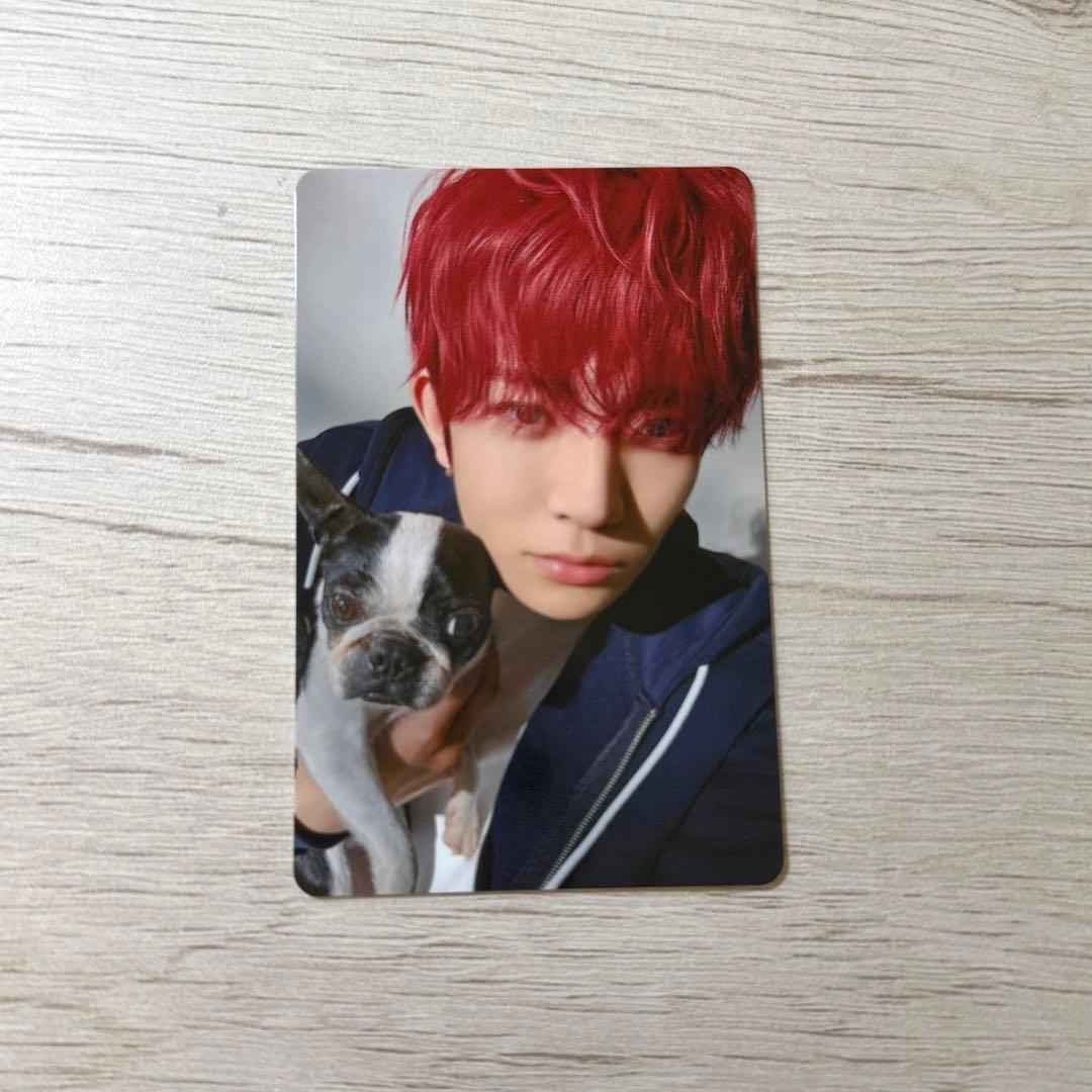 enhypen ヒスン アンケートトレカ 2025