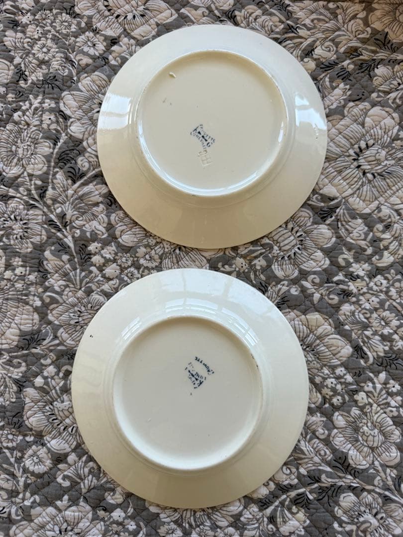 フランスアンティーク陶器リュネヴィル小鳥と植物の可愛いソーサープレート2枚セット