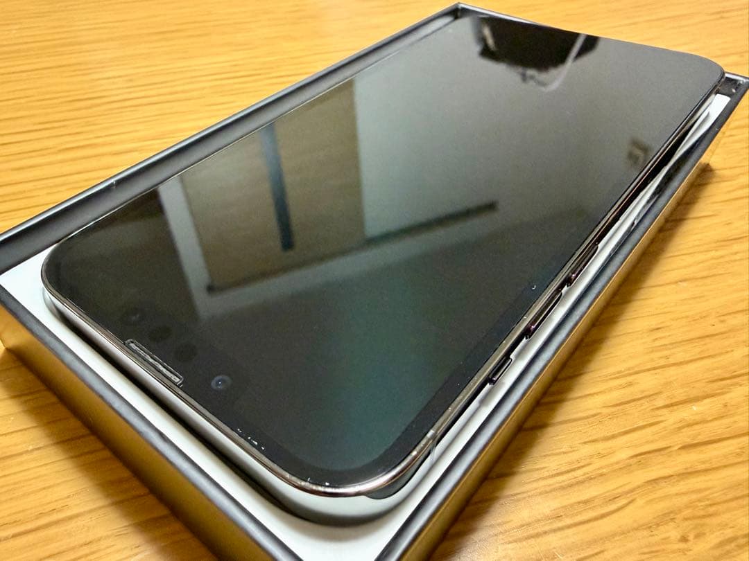 Katts Apple iPhone 13 Pro グラファイト 本体