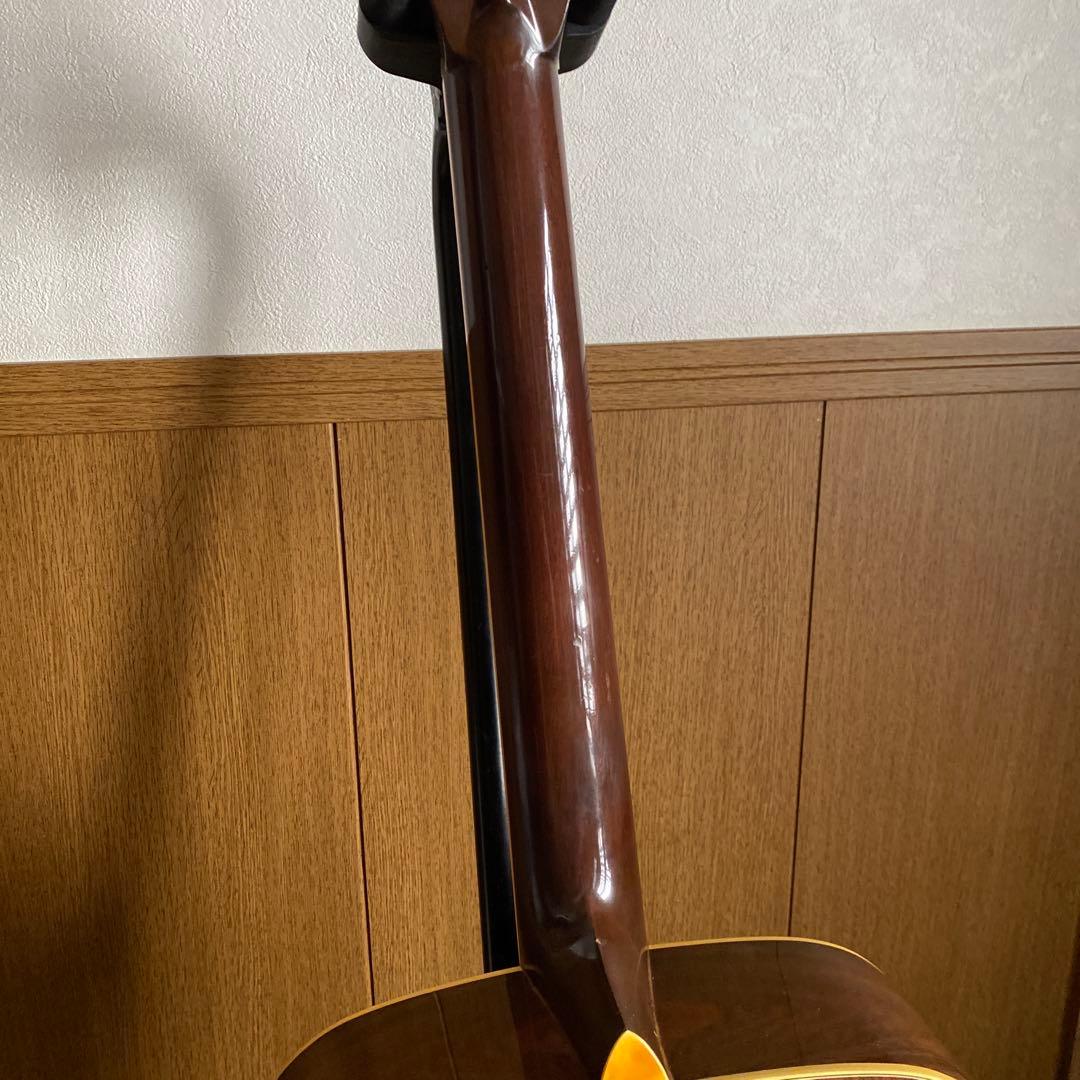 MC　希少Cat's Eyes CE-800 前期ハカランダ